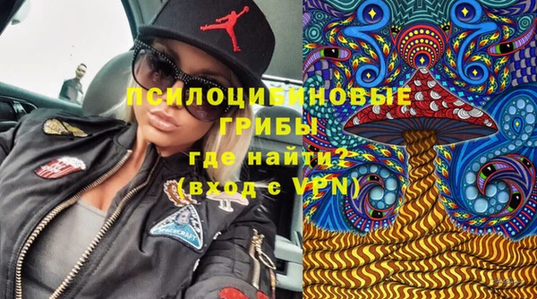 экстази Краснослободск